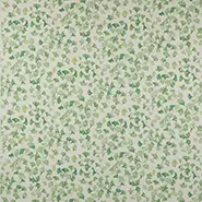 Laurette (J0149-05)